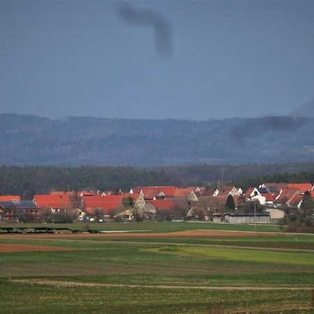 Ferien-Messe-Handwerkerwohnung-Haustiere Willkommen Лауф ан дер Пегниц Екстериор снимка